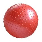 FLY FLU Yoga Topu Yetişkinler, 75 cm Kaymaz Yoga Topu, İsviçre, Ayak Pompalı – Fitness Salonu Yoga Pilates Çekirdek Egzersiz Fizik Terapi, Ağ
