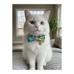 flypet RENKLİ ÇİÇEK DESEN PAPYON KEDİ TASMA & YAVRU KÖPEK TASMA 13CM-24CM AYARLANABİLİR TASMA