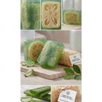 Fm Bitkisel Aloe Vera Özlü Doğal Süt Kabağı Süngerli Sabun — Doğanın Nemlendirici Dokunuşu 🌿 100~110GR - Yeşil