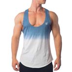 FNKDOR Renk geçişli Fitness Stringer Tank Top Erkek Fonksiyonel Spor Kıyafeti Koltuk Altı Tişört Vücut Geliştirme Stringer Antrenman Kas Tişörtü, Mavi, XXL