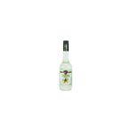 Fo 700 ml Bahçe Nanesi Aromalı Kokteyl Şurup
