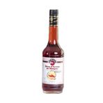 Fo 700 ml Mango Aromalı Şurup