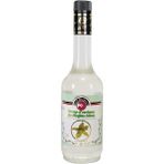 Fo Bahçe Nanesi Aromalı Kokteyl ve Kahve Şurubu 700 ml