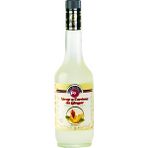 Fo Zencefil Aromalı Kokteyl Şurubu 700 ml - 25 gr