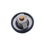 Focus Termostat (1998-2019) 1.6 Zetec, 1.4 L Duratec, 1.6 Tdcı Duratorg, 1.6 L Duratec Ti-Vct 4M5g8575zb