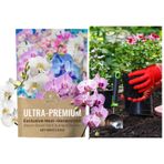 FokCalgary Bitki Yiyecekleri, Bitki Gübresi - Gübre Tozu - Bloom Booster, Stimülatör, Çiçekler için Bahçe Bakımı Sebze Succulents