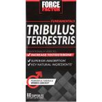 Force Factor Fundamentals Tribulus Terrestris 60 Capsules - Aromasız