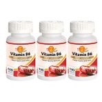 Force Nutrition Vitamin B6 3x100 Tablet