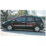 Ford C-Max Tk 2004-2010 Paslanmaz Çelik 4 Parça Krom Cam Çıtası