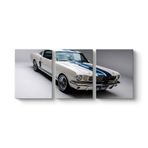 Ford Mustang Cobra Tablosu 126 x 55-3 Parçalı