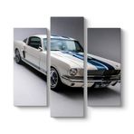 Ford Mustang Cobra Tablosu 96 x 90-3 Parçalı