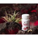 Forever Living Products Forever Therm