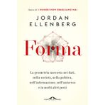 Forma. La geometria nascosta nei dati, nella società, nella politica, nell'informazione, nell'universo e in molti altri posti (Saggi)