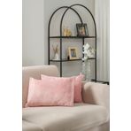 Formeya Çift Tarafı Wellsoft Kumaş 2'li 35x55 Cm Hediyelik Dekoratif Pelüş Kırlent Kılıfı Yastık Kılıfı Pudra