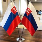 Fors Bayrak Slovakya Masa Bayrağı Krom Direkli Ikili Bayrak