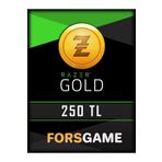 fors game Razer Gold Pin 250 Tl