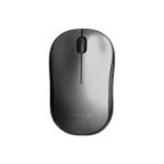 ForWhat Büro Ev Ofis Bilgisayarı Için Kablosuz Silver 3D Optik Mouse - Renkli