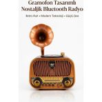 ForWhat Büro Ev Ofis Hediyesi Için Gramofon Stil Nostaljik Müzik Çalar Bluetooth Hoparlörlü Radyo - Renkli