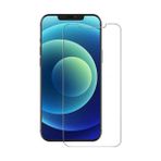 Forzacase iPhone 12 Pro ile uyumlu Temperli Kırılmaz Cam Ekran Koruyucu - FC002
