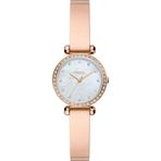 Fossil BQ3894 Kadın Kol Saati