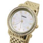 Fossil ES3113 Bayan Kol Saati