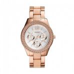 Fossil ES3721 Bayan Kol Saati