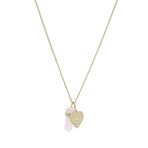 Fossil F03471-710 Kalpli Kadın Kolye