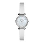 Fossil FBQ3893 Kadın Kol Saati