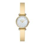 Fossil FBQ3895 Kadın Kol Saati