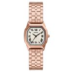 Fossil FES5386 Harlow Kadın Kol Saati