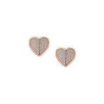 Fossil JF04334-791 Kalpli Kadın Küpe