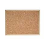 FourForce Boy Mantar Pano 60ADET Raptiye Hediye 90X60CM Duvara Montaj