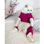 Foxie Polar Kedi Tulum Pijama