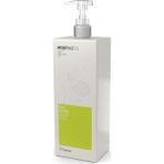 Framesi Morphosis Balance 1 lt Şampuan