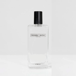 Frederic Patric B-3 100 ml Erkek Parfüm