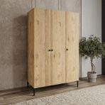 Free 3 Kapalı,6 Raf Bölmeli,1 Askı Bölmeli Dolap/ GARDIROP(%100MDF)