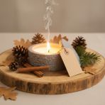 Free And Art Doğal Soya Wax Mum – El Yapımı Beton Kap, Kokusuz, Çok Amaçlı & Pastel Renkler - Gri