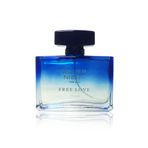 Free Love Silver Night EDP 100 ml Erkek Parfüm