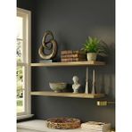 Freehome Premium Mdf Ürün 2'li Set 50X15 cm Gizli Montaj Modern Kitaplık Mutfak Banyo Salon Rafı