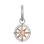 Freelook FRJ.3.5017.3 Yıldız Detaylı Taşlı Metal Rose Kadın Küpe