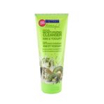Freeman 150 ml Kivi Ve Yoğurtlu Yüz Temizleyicisi
