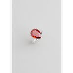 Frida'nın Renkleri 18 Ayar Beyaz Altın Kaplama Gümüş Tasarım Yüzük