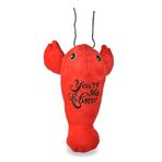 Friends the TV Show Köpek Oyuncak Istakoz Peluş Squeaker | Arkadaşlar Sen Benim Istakoz Peluş Squeaker Pet Oyuncak | Arkadaşlar Köpekler için Oyuncak Dolması Hayvan 6 inç, Aşk Temalı Köpek Oyuncakları
