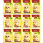 Friskies 12x85 gr Sığır Etli Soslu Yaş Kedi Maması