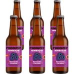 Froonzy Kombucha Yaban Mersini 6 Adet 330ML