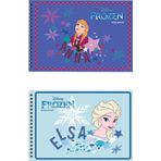 Frozen 17*25 15 Yp.resim Defteri 2'Li