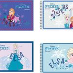 Frozen 17*25 15 Yp.resim Defteri 4'Lu