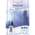 Frozen Flake 3'lü Paket Çıt Çıt Toka