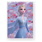 Frozen Kareli Defter A4 40 Yaprak