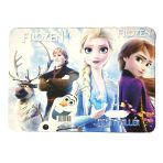 Frozen Temalı 30 Adet Karne Kılıfı